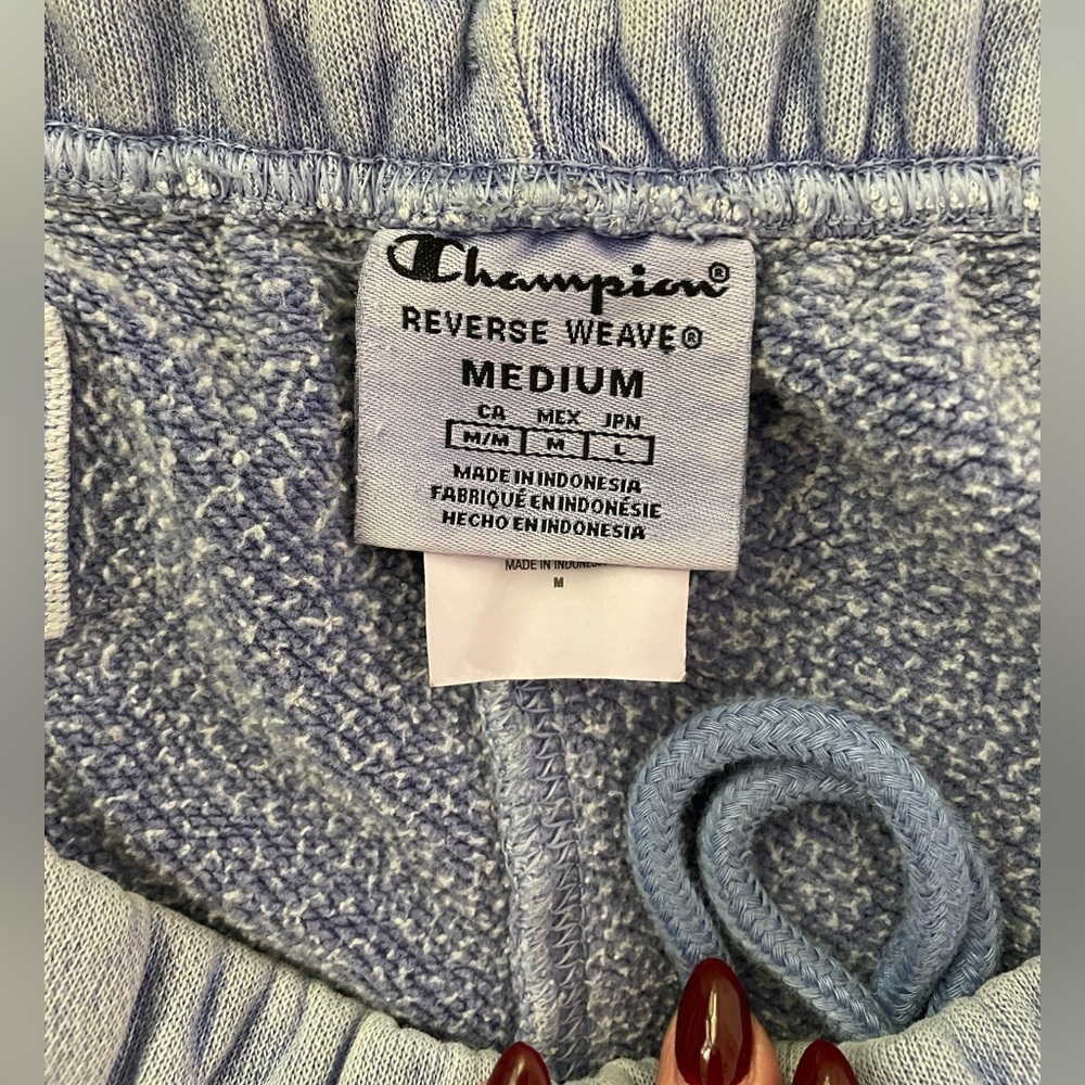 Vintage Champion Classic Reverse Weave Sweatpant in Light Blue - Picture 5 of 6